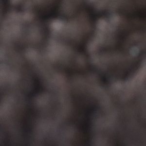 Meet your Posher, Leona